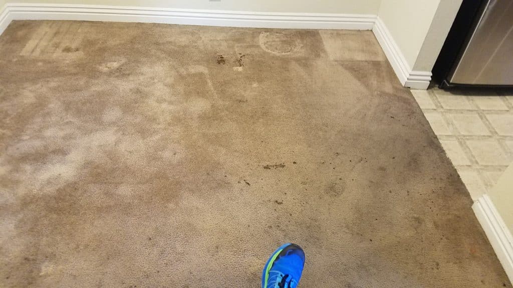Move Out Carpet Cleaning in Las Vegas Before & After