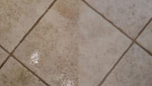 Expert tile and grout cleaning