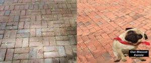 brick paver cleaning driveway las vegas henderson